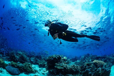 5 Tage Tauchen in Hurghada (10 Tauchgänge)